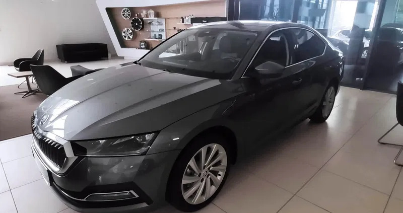 skoda brzeziny Skoda Octavia cena 138000 przebieg: 9, rok produkcji 2024 z Brzeziny